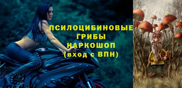 твердый Алзамай