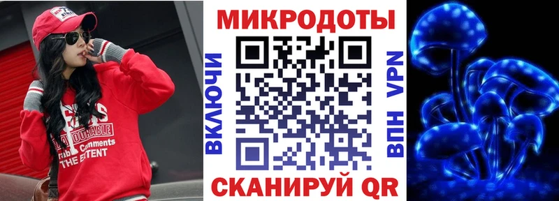 закладка  Мамоново  Псилоцибиновые грибы Cubensis 